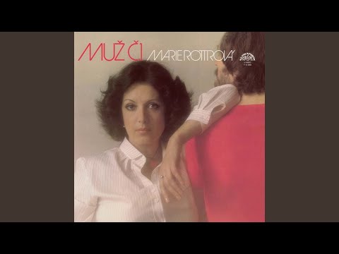 Muž č. 1 (Blame It On The Boogie)