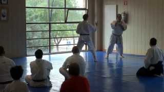 preview picture of video 'Curso solidario de Artes Marciales en San Martín de la Vega'