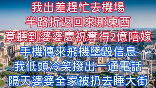 我出差趕忙去機場，半路折返回來那東西，怎料聽到婆婆慶祝奪得2億陪嫁，手機傳來飛機墜毀信息，我低頭冷笑撥出一通電話，隔天婆婆全家被扔去睡大街#老人感悟#為人處世#生活經驗#情感故事#家庭#親情#家庭關係