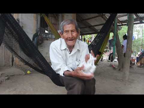 El cordón de muertos de Don Quirumbay