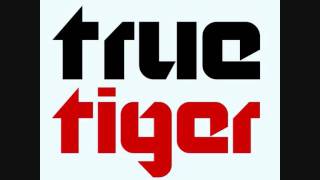 True Tiger - Be Like Me Instrumental