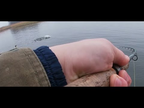 Sumuisen Meren Hauet ja 3 Sumeaa Kalastajaa