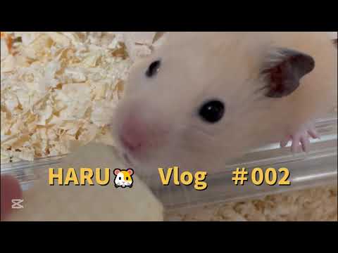 ご要望に合わせた動画を作ります イメージ1