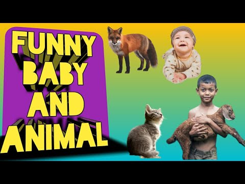 Funniest Cats video | Life sweet 2021 best Funny 😅 part (1)قطط مضحكة فيديو