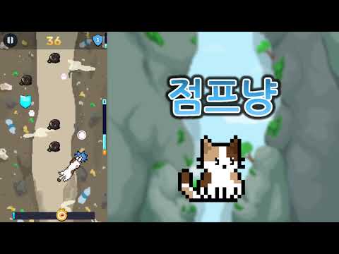 점프냥