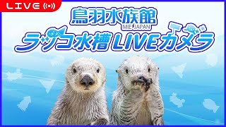 世界のライブカメラ | Fujiyama.TV
