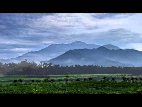 Anywhere the Heart Goes