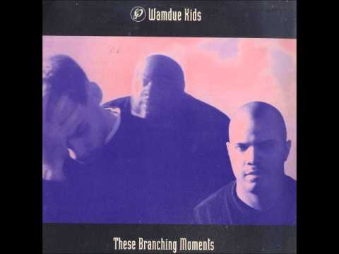 Wamdue Kids - These Branching Moments