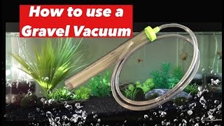 How to use a Gravel Vacuum without having to suck on the tube. Simple and easy!!