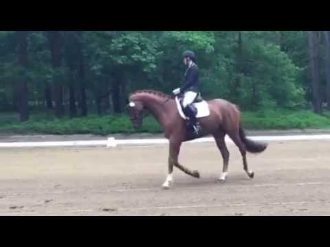 Wallach von Imperio-Diamond Hit, 1