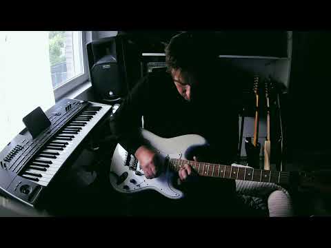 Zele Lipovača- Maida (cover)