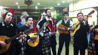 Tuna Ulpgc  -Motivo- en la clínica Cajal