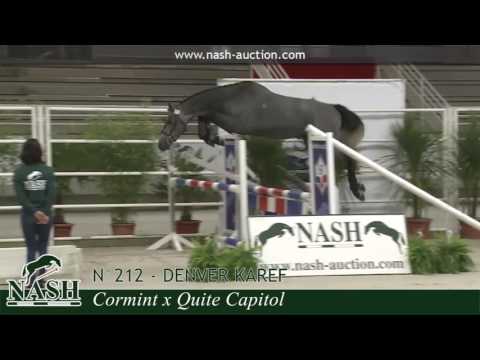 TRAINING - N°212 - Denver Karef - NASH 2016