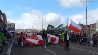 Polonia na Paradzie św. Patryka w Cork 2019