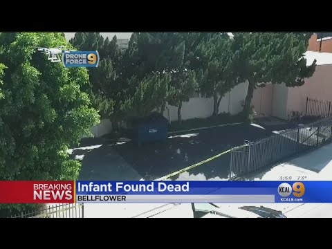 Dead Infant Found Behind Building In Bellflower; Investigation Underway