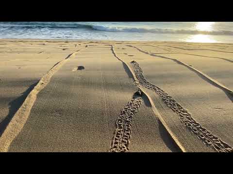 Turtles #beachfrontparadiseboutiquehotel