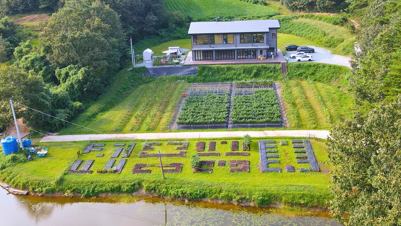 The Genius Korean Farmer Changing Organic Farming Forever - JADAM Farm