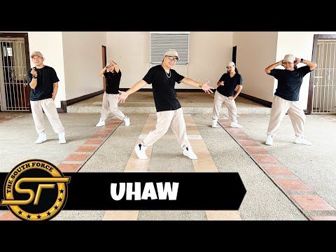 UHAW ( Dj Sandy Remix ) - Dilaw | Dance Trends | Dance Fitness | Zumba