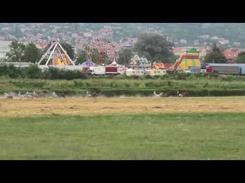 Trka "Viminacijum" 07.07.2019 Jessie - Dejan Petrović