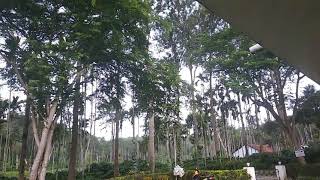 preview picture of video 'TCS Holiday Home's Coorg Karnataka Part 6'