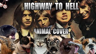 AC/DC - Highway To Hell (Animal Cover)