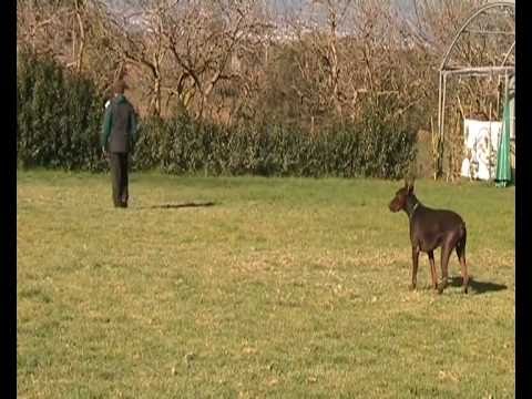 PRIDE OF RUSSIA KREZ 12.12.2010 Ε.Ε.Ι.Π.