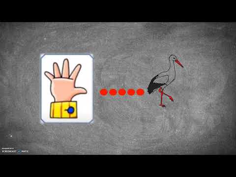 FILASTROCCA DEI NUMERI BORTOLATO