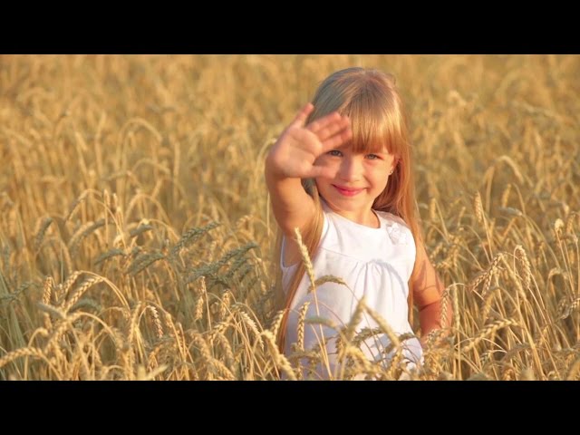 Группа заводов «Алмаз»