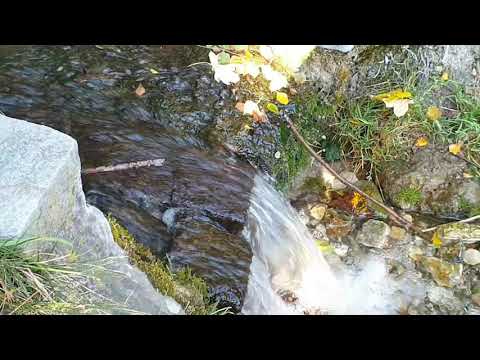 Elchingen Gemeinde im schwäbischen Landkreis Neu-Ulm/Deutschland