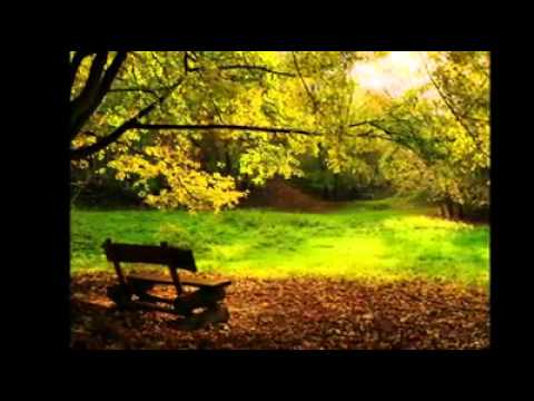 Rustem Muratovic Ljuca   Haj ja zagrizoh sareniku jabuku   Zaplakala secer Djula