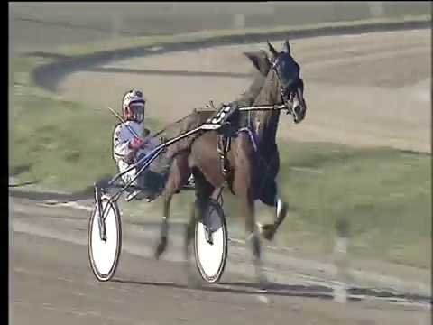 Trotto 17/11/2017 - 1ª corsa