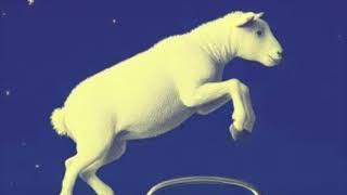 「眠れない」