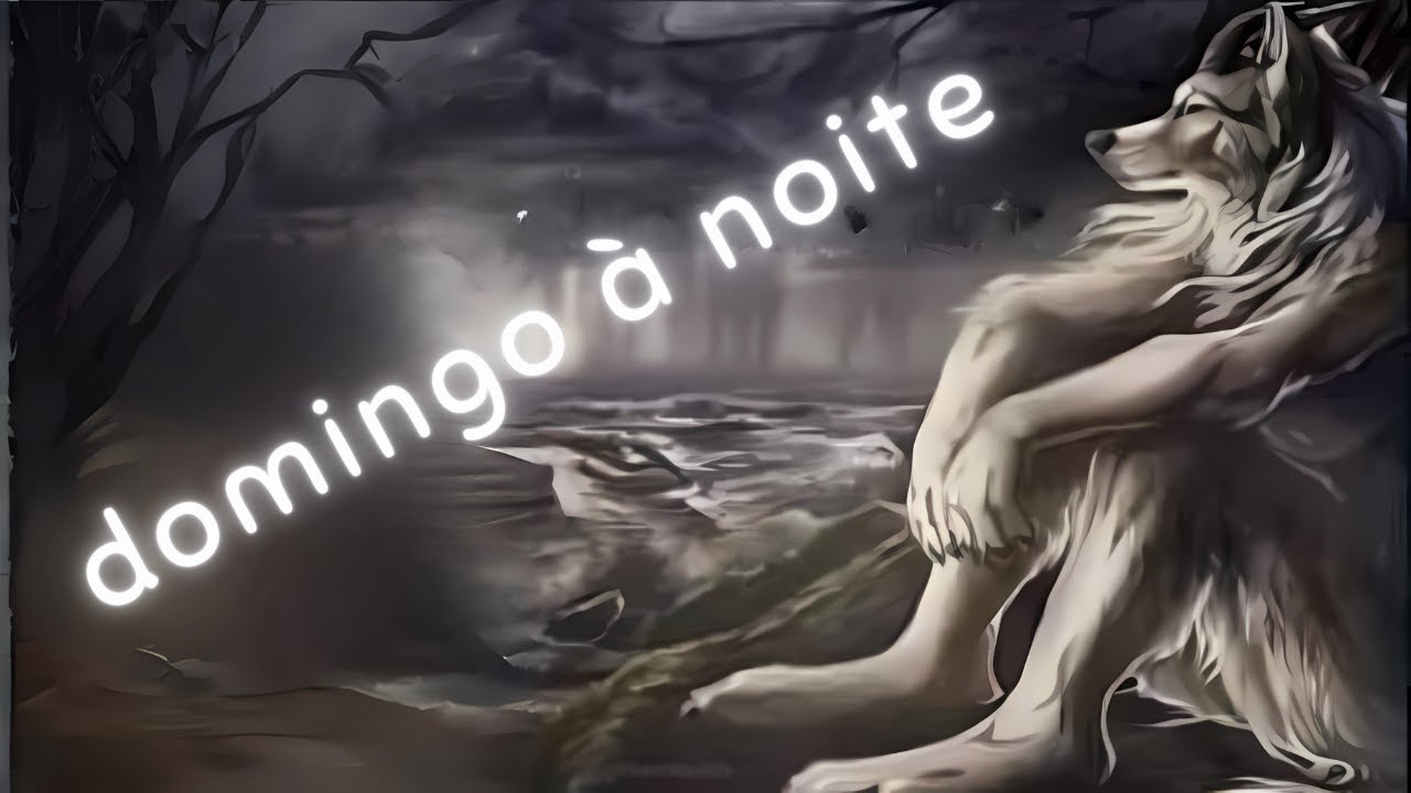 A miserável SOLIDÃO