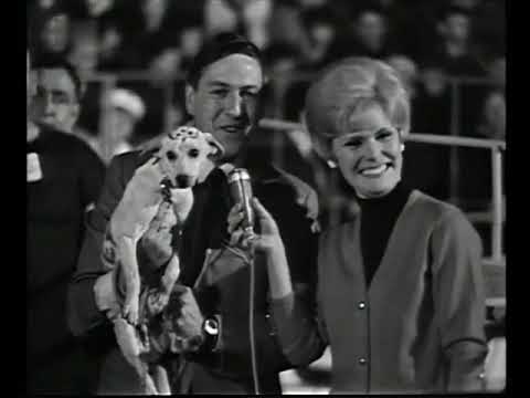 Jeux Sans Frontieres 1965 - Final (Ciney, Belgium vs Saint Amand les Eaux, France)