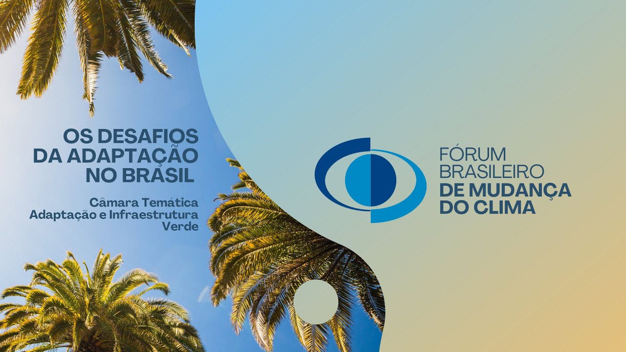 Os Desafios da Adaptação no Brasil