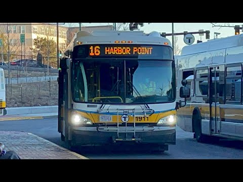The Pirate’s Tale of UMass | Yoshi's Ride Series {S7-E08} - Riding the 16 🚌 - {MBTA}