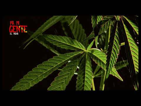 13 - El Micha ft Snow ft Candy Man Ft Kola Loka ft Chongo- Andamos Ire