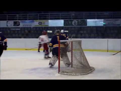 A-tým SK Karviná - HC Kopřivnice (01. 02. 2014, 12:6)