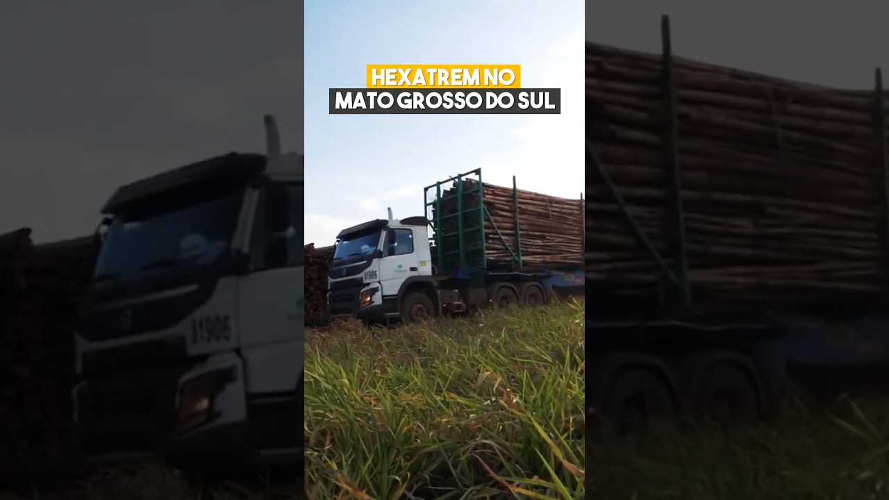 HEXATREM NO MATO GROSSO DO SUL