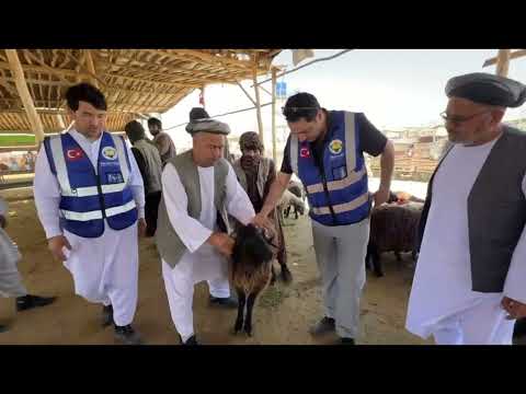 Afganistan Kurbanlık Seçimi 2026