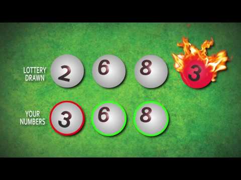 How to Play | NJ Lottery Pick-3 / Pick-4 Fireball