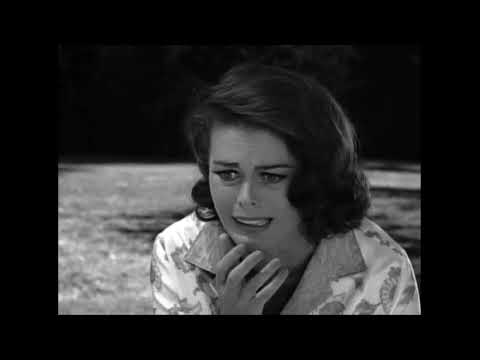 The Signpost Up Ahead - Twilight Zone episode 156 - Reviewing "The Bewitchin' Pool" [re-upload]