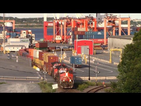 CN Local Train 507 Working at Halifax Ocean Terminals - PSA Container Pier