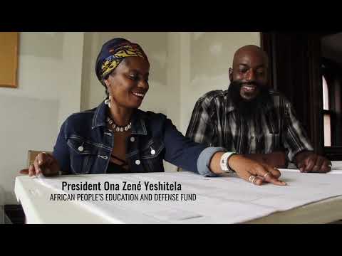 Black Power Blueprint Video (Jan 2022 Update)