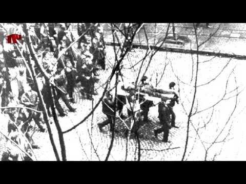 Nauka o Gównie - Janek Wiśniewski [Oficjalny Teledysk]