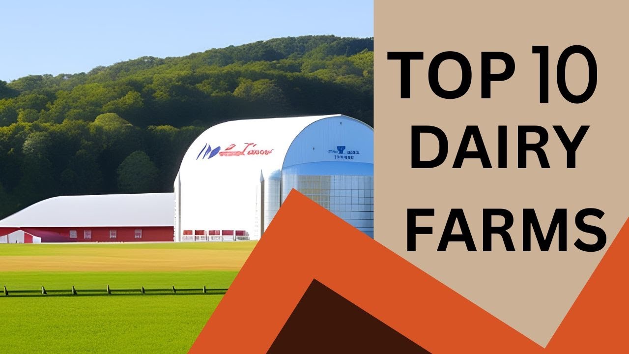 Top 10 dairy farms in the world @FarmFaunafact