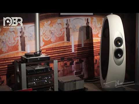 Analogue Records - Super Audio Collection - Natural Beat Records