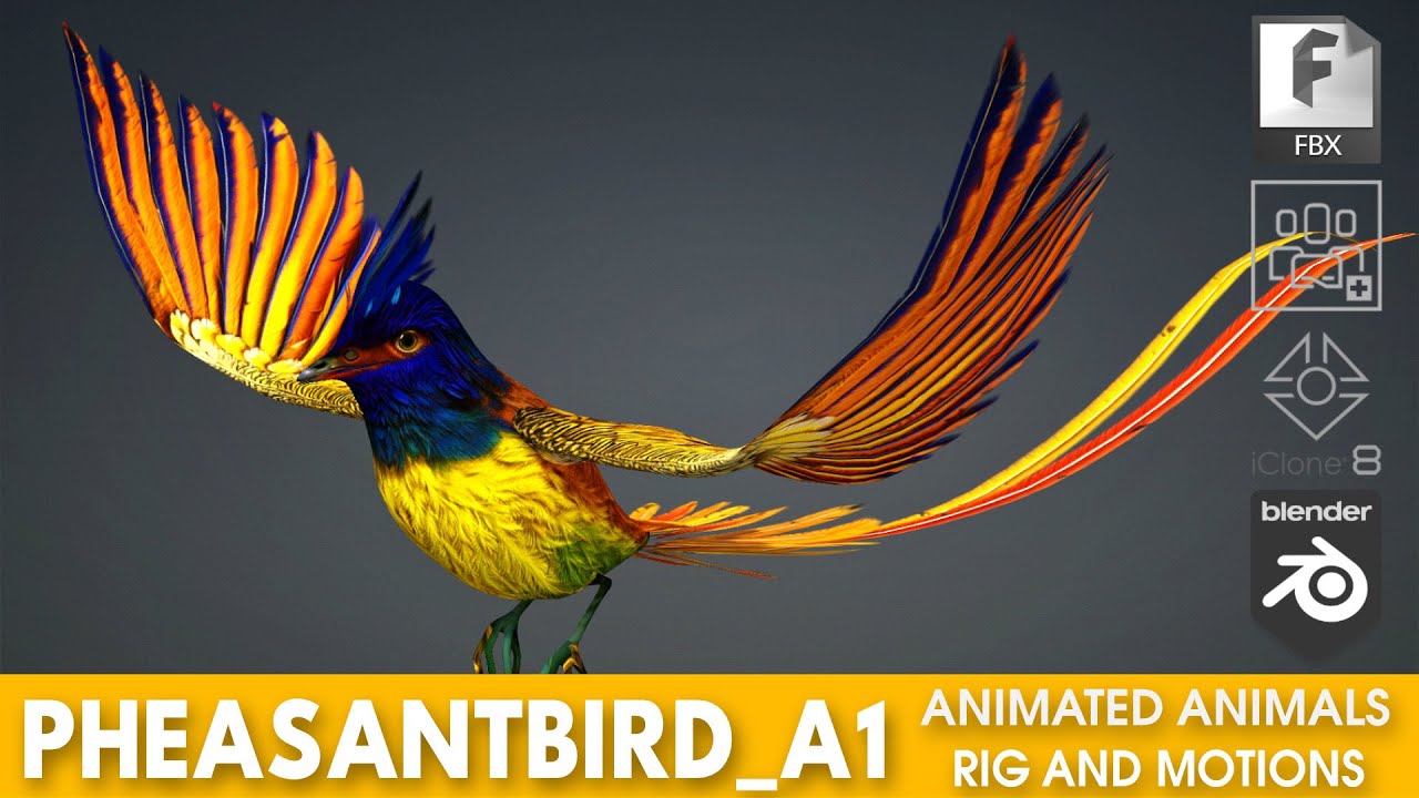 FagianoUccelloA1 Modello 3D