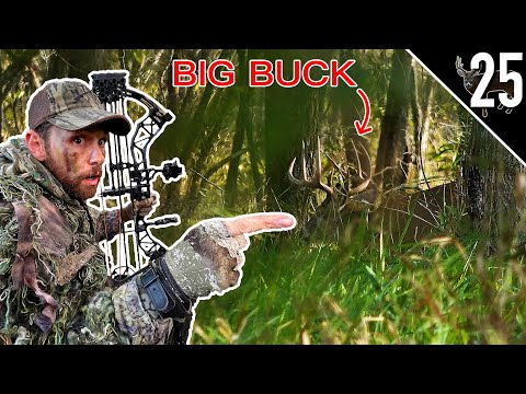 PRE-RUT BOWHUNTING ACTION!! (Bucks Chasing Does!)