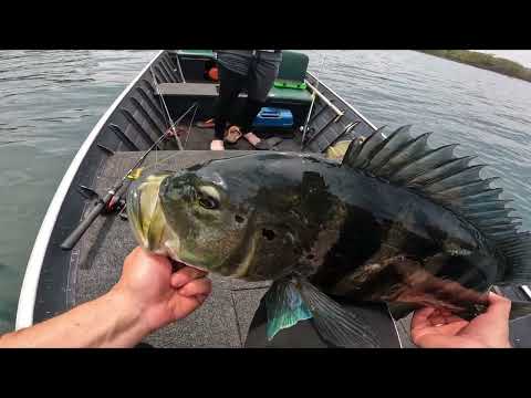 Pescaria Com meu Pai No Paranaiba.